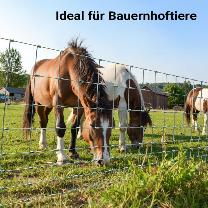 Produktbild Wiltec Wildzaun Weidezaun 50m lang 100/08/15 Drahtzaun Knotengeflecht Forstzaun