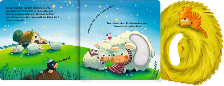 Immagine prodotto Mein erstes Guckloch-Fühlbuch: Kleiner Bär, wo bist du? (Tedesco, 2022)