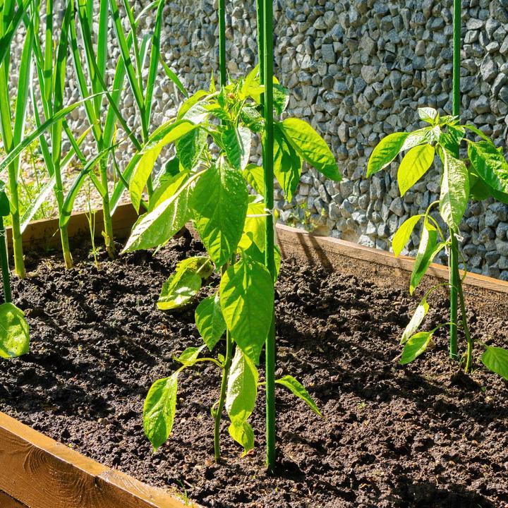 Produktbild Wiltec Toboli 10x Pflanzstäbe grün 120cm Ø11mm Rankstab Metall Kunststoff Tomatenstange (120 cm, 1.10 cm)