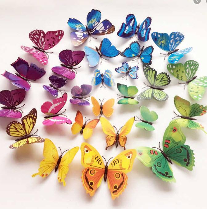 Cover-Discount Farfalle 3D