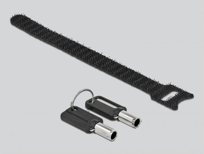 Actual product image Delock Security lock with key for nano slot