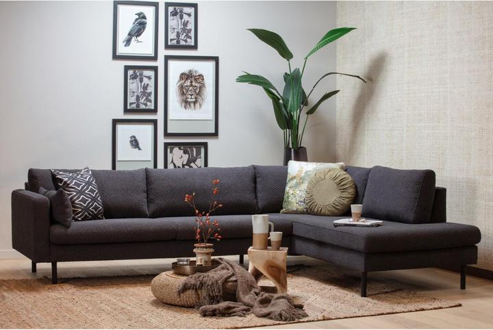 Immagine prodotto Woood Strelitzia (63 cm)