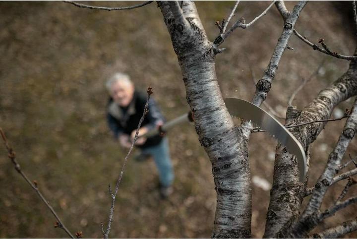 Actual product image Stocker Garden Stocker Säge 430 Tc