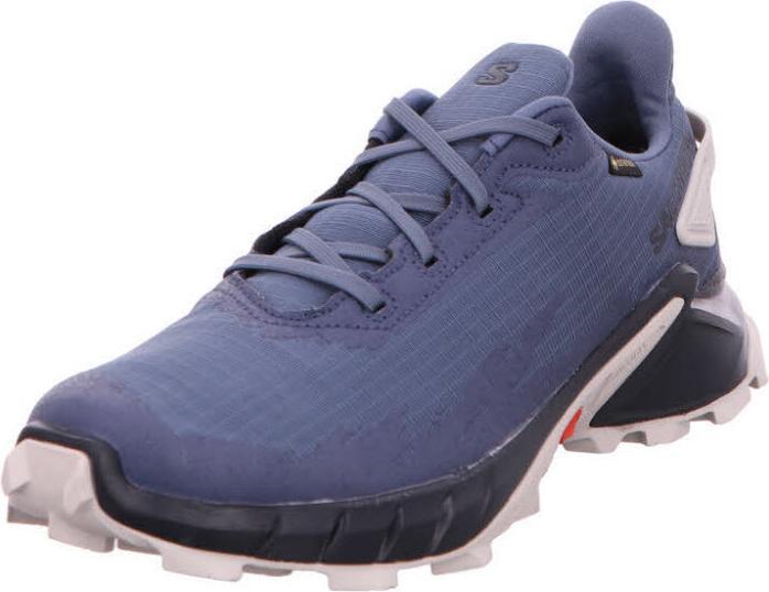 Image du produit Salomon Alphacross 4 GTX - 57153 (44)