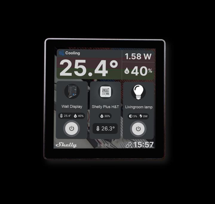 Actual product image Shelly Wall Display