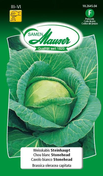 Actual product image Samen Mauser White cabbage stone head (Vegetable seeds)