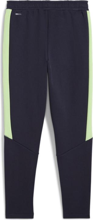 Puma EVOSTRIPE Pants DK B