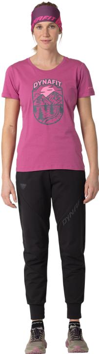 Actual product image Dynafit Graphic Cotton S/S Tee (L)