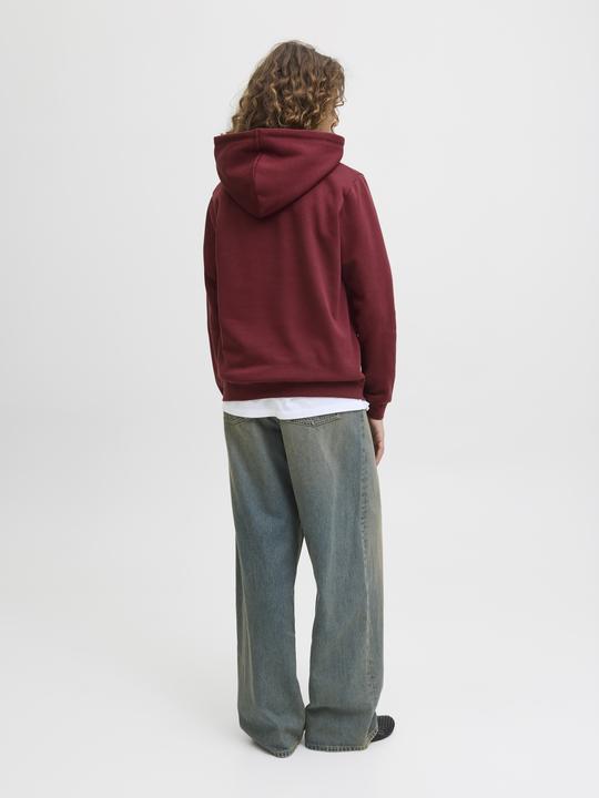 Actual product image JJXX Jxabbie Rlx Ls Every Hood Swt Noos (XS)