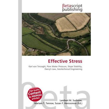 Thumbnail - Effective Stress, Fachbücher