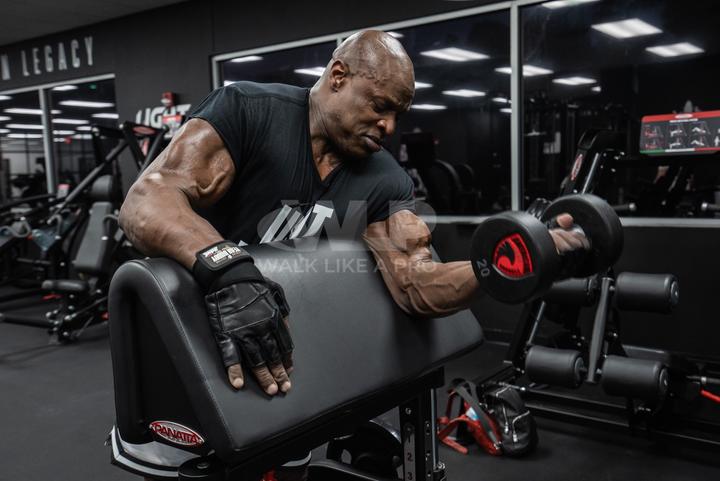 Actual product image Schiek Ronnie Coleman (XXL)