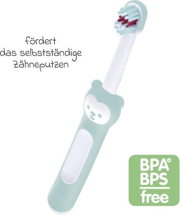 Produktbild MAM Baby's Brush 6+ Mon., 1 Stk, türkis (Weich, 1 x)