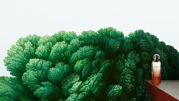 Image du produit Hermès Un Jardin Sur La Lagune (Eau de toilette, 50 ml)