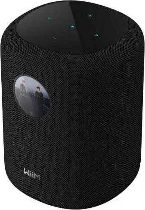 WiiM Suono (Amazon Alexa, Google Assistant)