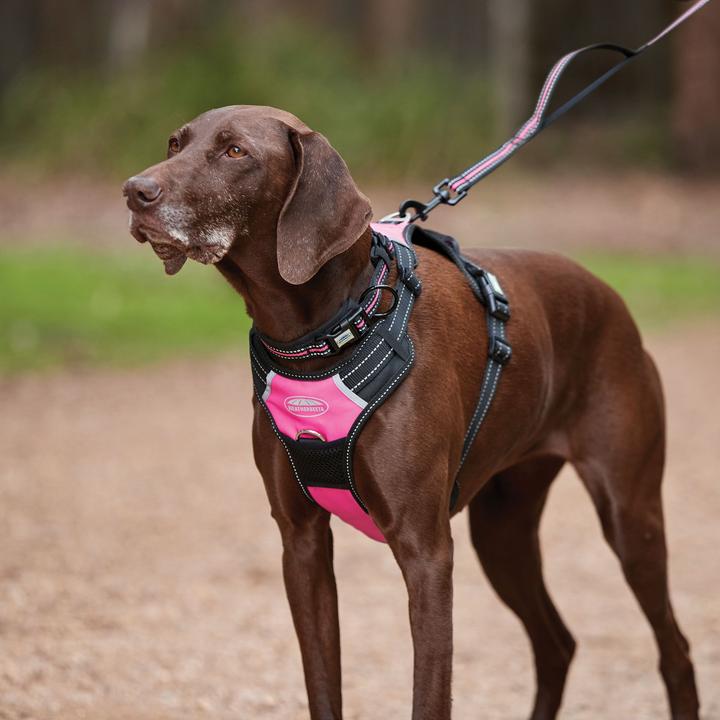 Produktbild Weatherbeeta Anti-Zug-Hundegeschirr für Reisen (XL, Hund, Spazieren)