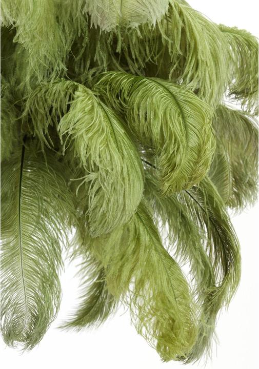 Actual product image Light & Living Feather