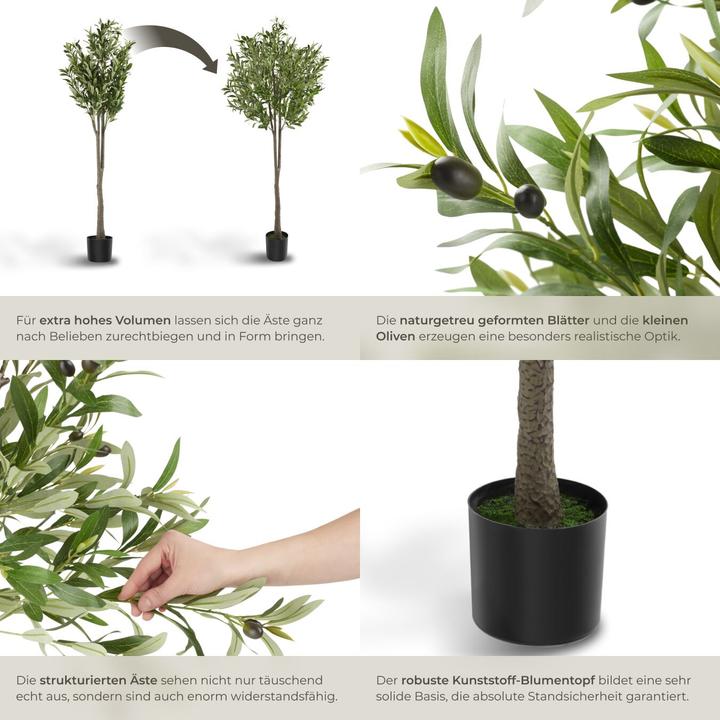 Actual product image tectake Olivenbaum Oleand (150 cm)