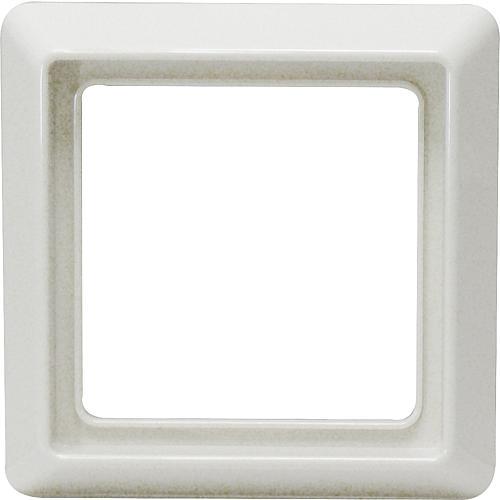 Actual product image Busch-Jaeger Frame