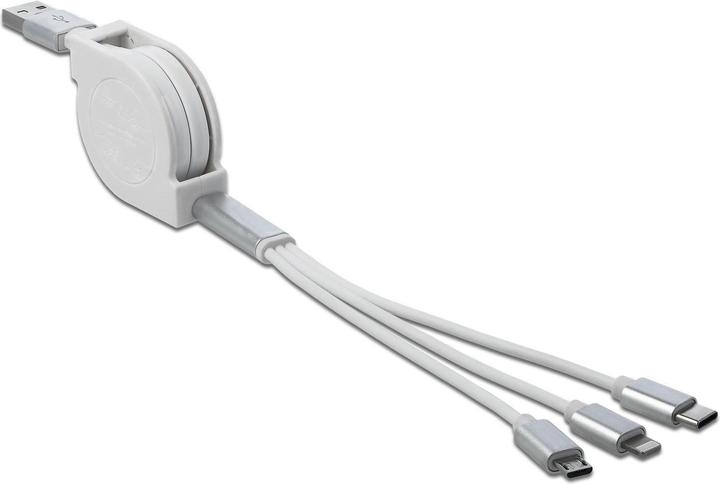 Delock USB 3.0-Adapterkabel (0.98 m, USB 2.0)