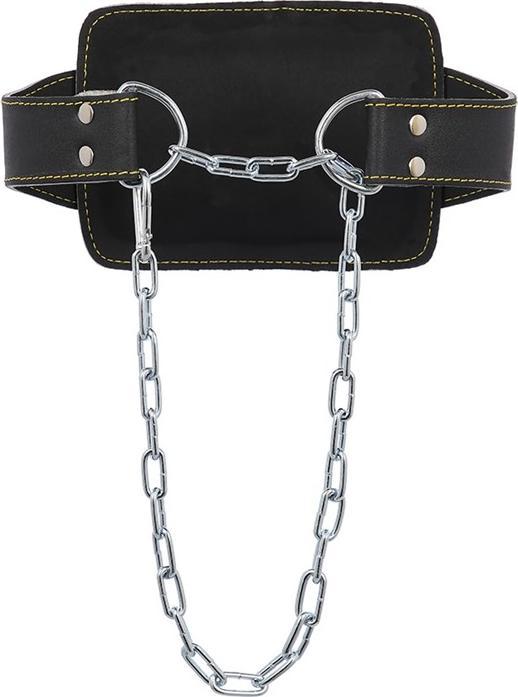 Actual product image HMS Pstx06 Weight Belt Premium