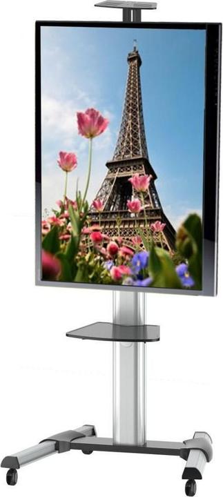 Produktbild Techly TV/LCD Wagen (50 kg, 31")