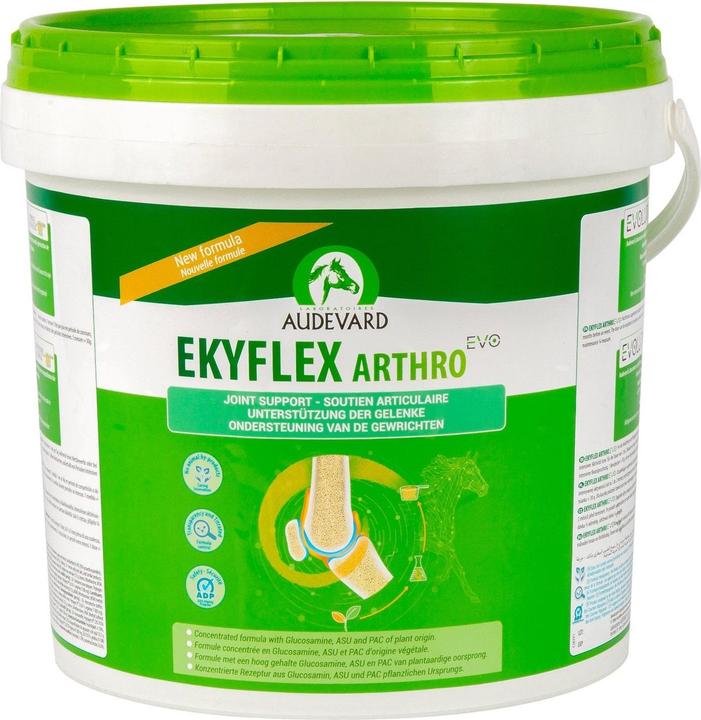 Immagine prodotto Ravene Ekyflex Arthro Evo (900 g)
