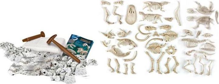 Produktbild Clementoni Ausgrabungs Set - Dino Mega Collection