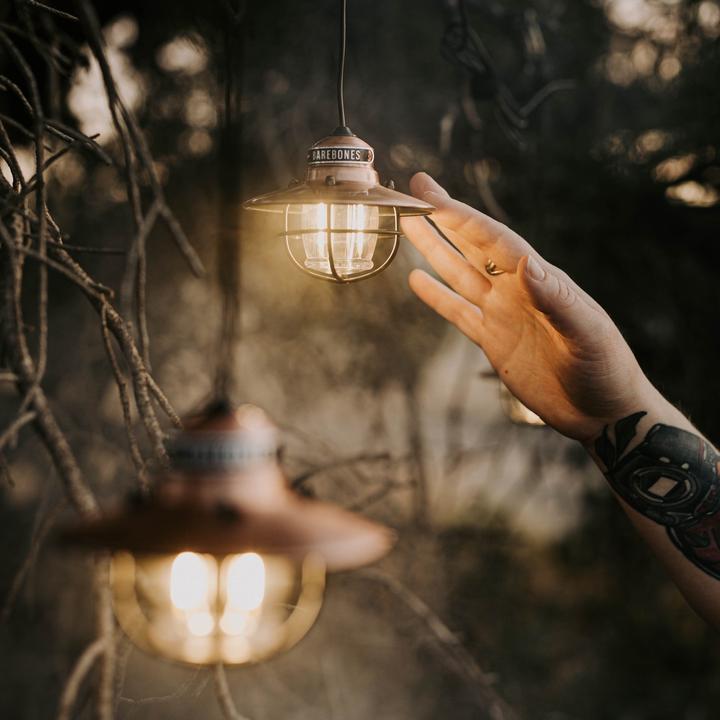 Actual product image Barebones Edison string lights fairy lights 3 lamps (0.11 m)