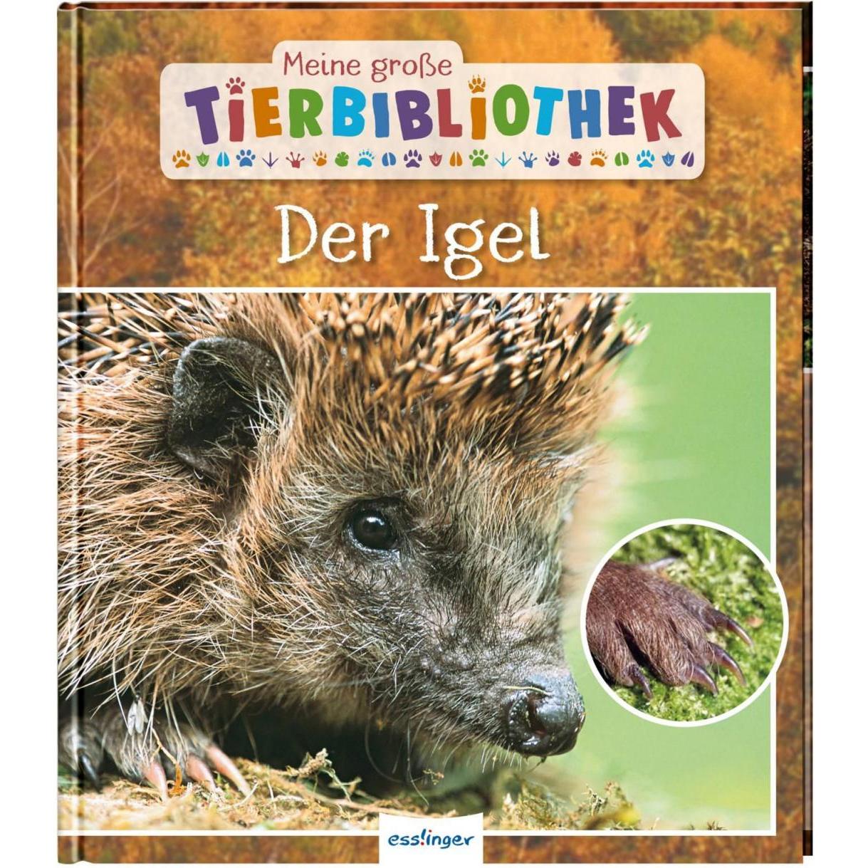 Meine grosse Tierbibliothek: Der Igel, Kinderbücher von Valérie Tracqui