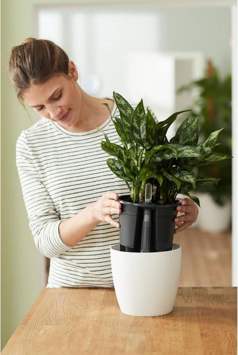 Actual product image Elho Self-irrigation systems