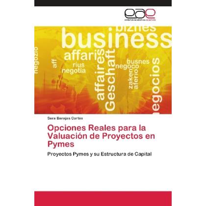 Opciones Reales para la Valuación de Proyectos en Pymes, Ratgeber von Sara Barajas Cortés