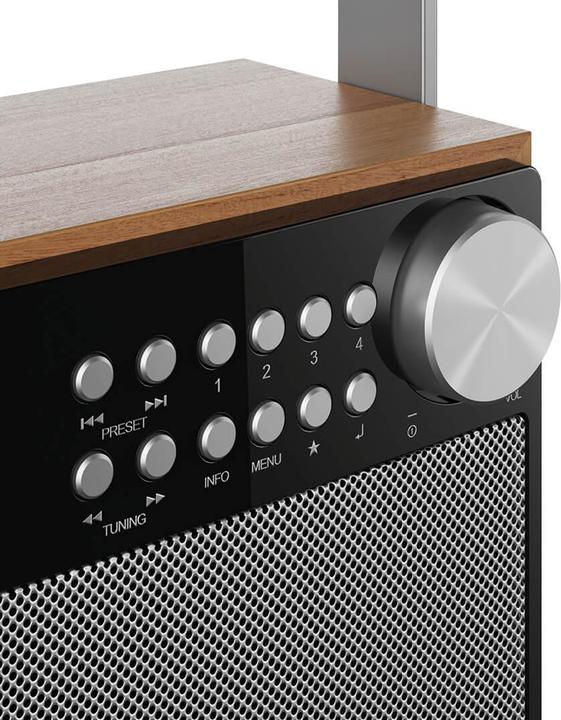 Produktbild Sharp DR-P350 (DAB+, FM)