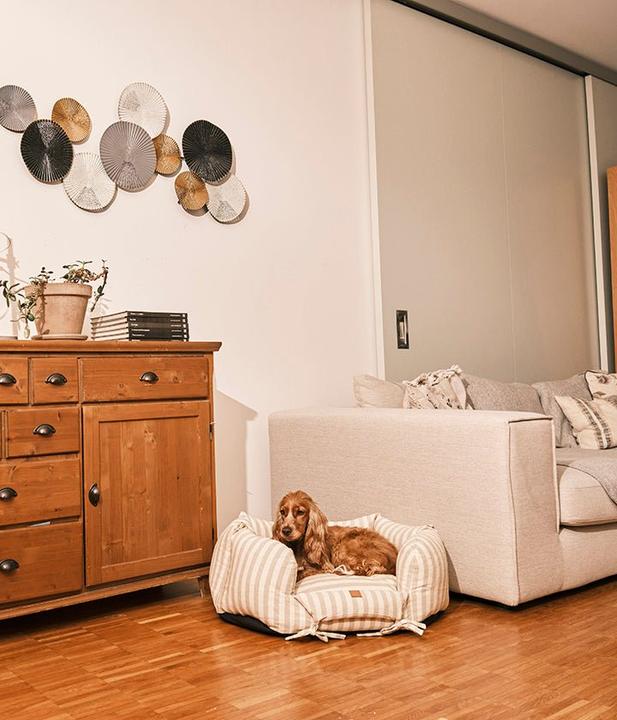 Produktbild Pet & Co. Ronny Striped - Taupe (Hund)