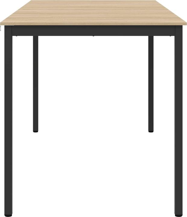 Image du produit vidaXL Esstisch (200 x 100 x 105 cm)