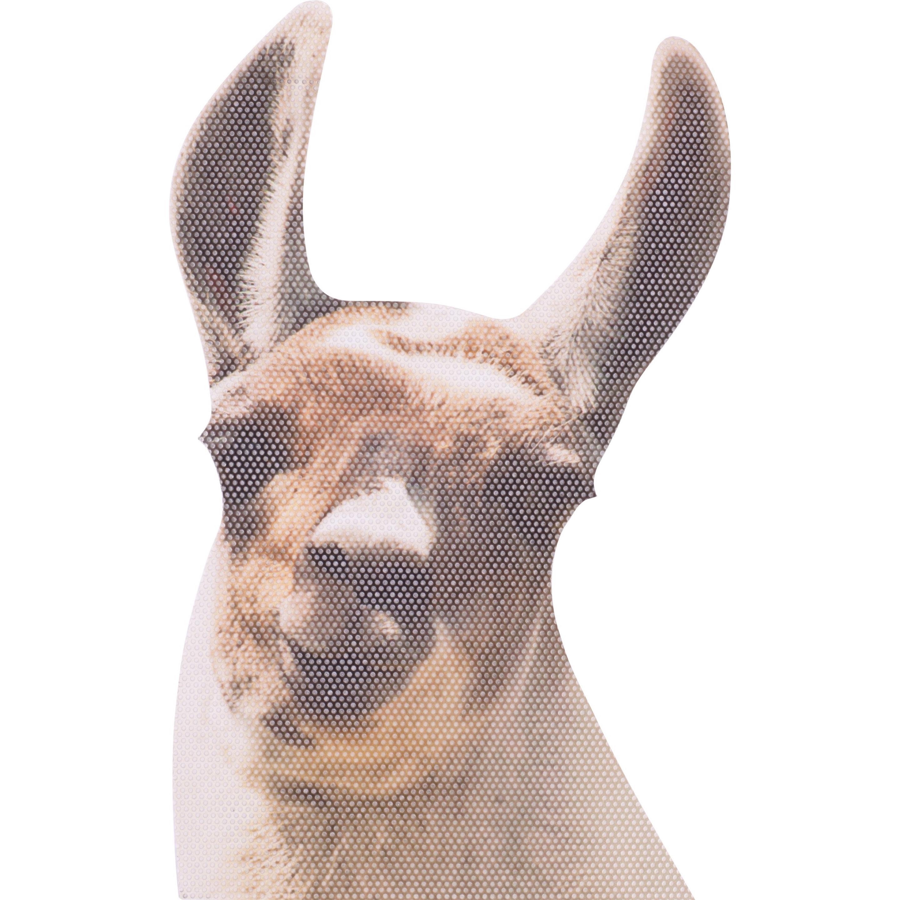 Ride With, Sticker, Llama - Fenstersticker "Lama"