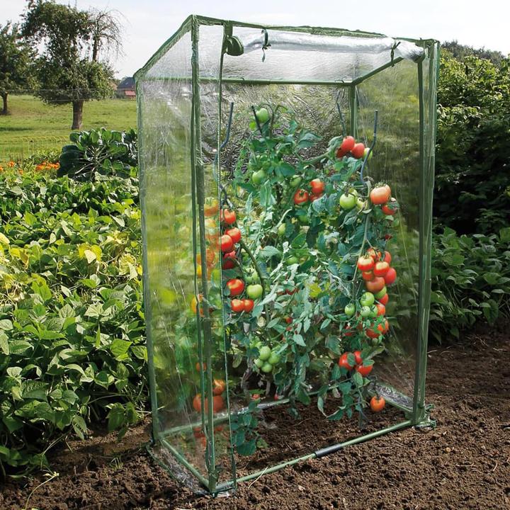 Actual product image Nature Gewächshaus
