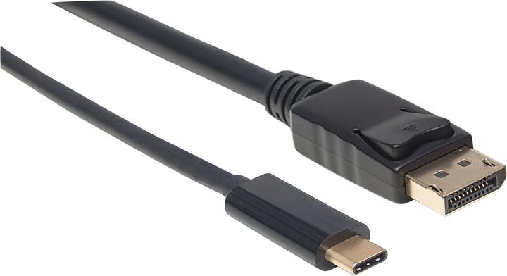 Actual product image Manhattan C – DisplayPort (USB-C)
