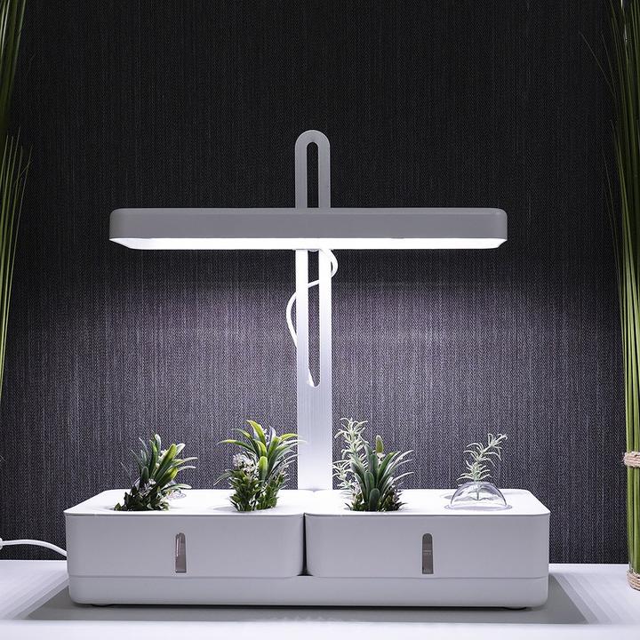 Immagine prodotto Ledvance Indoor Garden Kit (LED, 230 V)