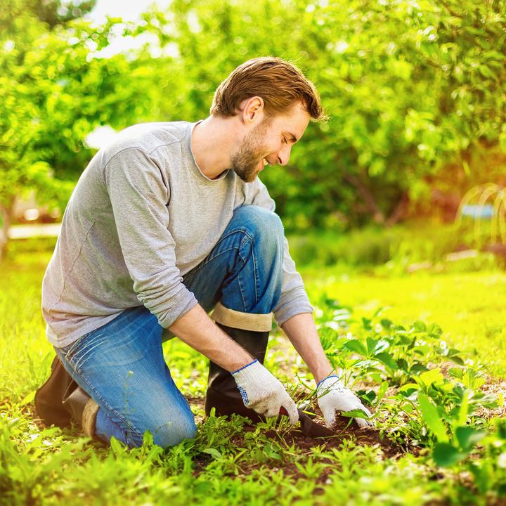 Actual product image Relaxdays Weed Barrier Carpet 5 m, 50g/m²