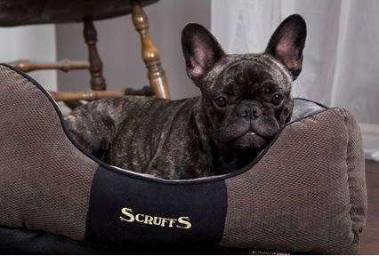 Produktbild Scruffs Chester Kuschelbett graphit (Hund)