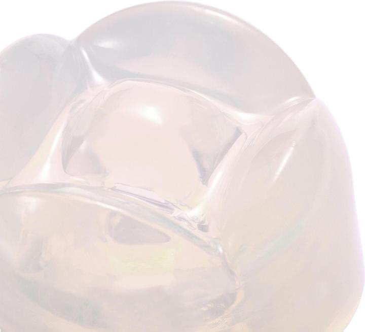 Actual product image Tenga Lily