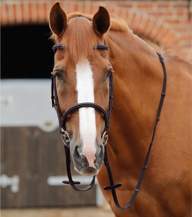 Produktbild Premier Equine Zügel