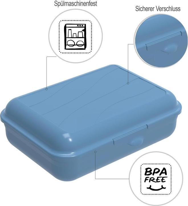 Actual product image Rotho Storage box