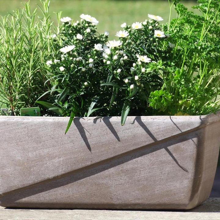 Immagine prodotto Spang Balkonkasten Line umbra 40 x 19 x 16 cm mit Loch (40 x 19 x 16 cm)