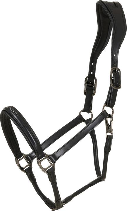 Produktbild Catago Novi 25.2