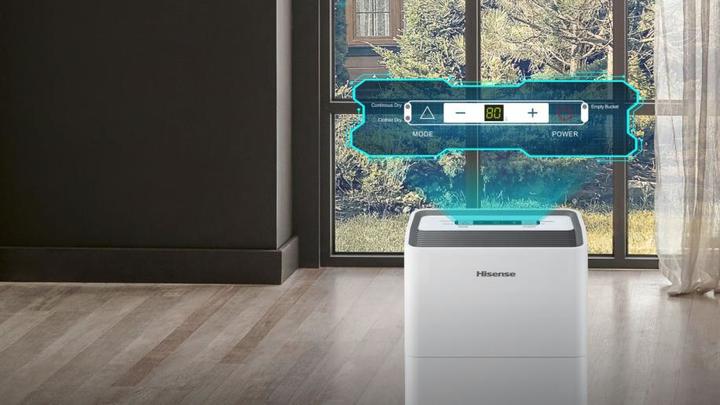 Produktbild Hisense D12HW (25 m², 12 l/24h)