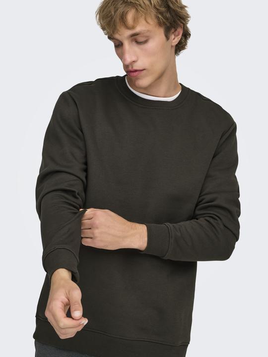 Produktbild Only & Sons Onsconnor Reg Crew Neck Sweat Noos (M)