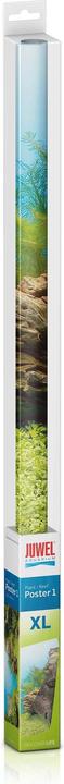 Actual product image Juwel Aquarium Photo back wall 2 printed on both sides (Rear panel, other buildings)