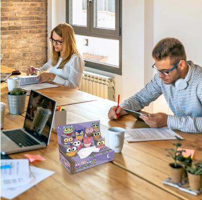 Image du produit Roost Taschentuch Box 1376005 Eulen