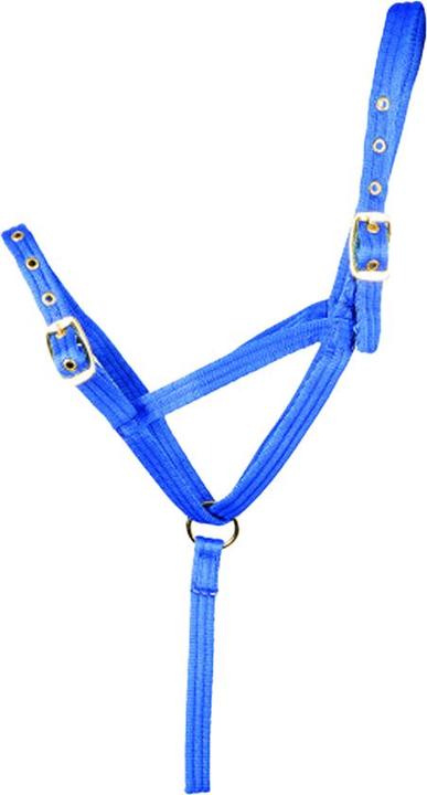 Produktbild Hy Schlupfleine und Halfter